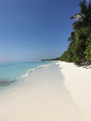 Fototapeta premium The white coast of the Indian Ocean in the Maldives near the jungle.