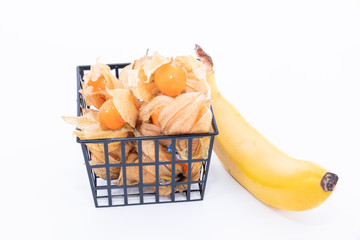 Golden berry (Physalis) isolated