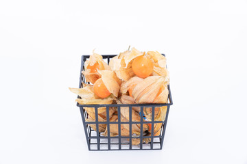 Golden berry (Physalis) isolated