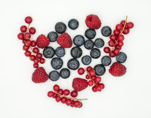 Forest berries top view on white background