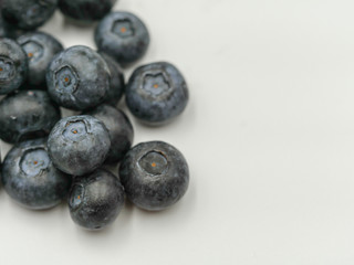 Blueberries on white background