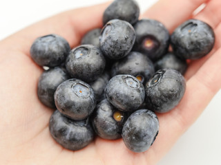 Organic blueberries in hand