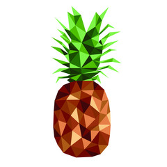 pineapple polygonal vector illustration on white background