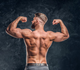 Shirtless bearded man showing off his great back muscles. Studio photo against dark wall background