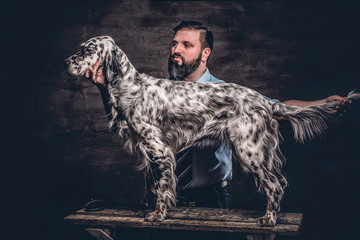 Middle-aged hunter showing his purebred English Setter who standing on a wooden pedestal. Studio...