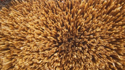 Trimmed Straw Ends of a Thatched Roof in Closeup