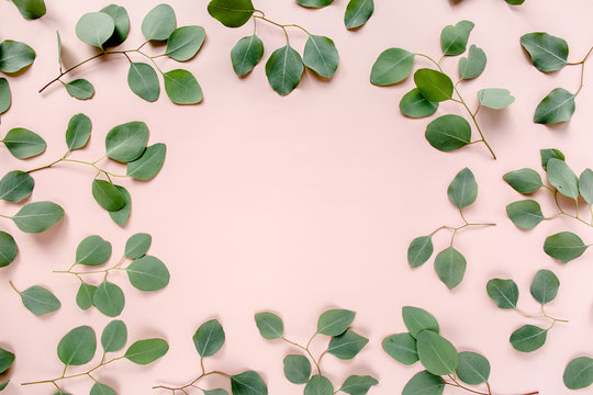 The workspace is decorated with green eucalyptus leaves, floral pattern on a pink background. The apartment lay, top view. Floral frame. Frame of flowers.