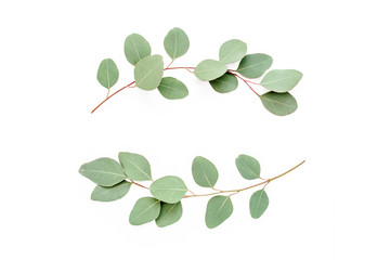 Wreath frame made of branches, leaves eucalyptus isolated on white background. lay flat, top view