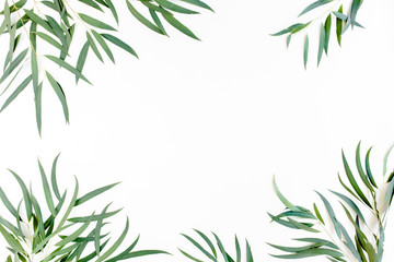 frame of green branches, eucalyptus leaves nicoli on a white background. flat layout, top view
