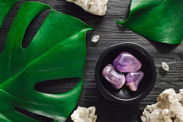 Amethyst with Smoky Quartz and Monstera © Serena Tayyan