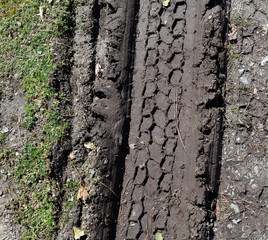 Fresh tire tread marks left in mud.