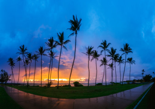 USA, Hawaii, Kauai, Pacific Ocean, Kapa'a Beach Park, palms at sunrise