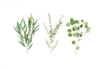 Mix of herbs green branches, leaves eucalyptus and plants collection on white background. flat lay, top view