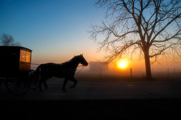 Amish Buggy in Silhouette at Dawn