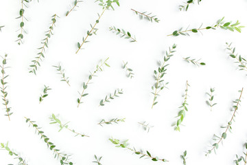 Texture, pattern made of branch eucalyptus on white background. Flat lay, top view.