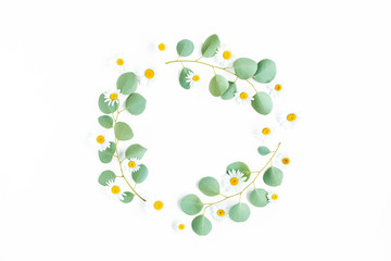 Round wreath frame made of branches eucalyptus and flowers chamomile isolated on white background. flat  lay, top view. Floral frame. Wreath of flowers.