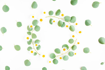 Round wreath frame made of branches eucalyptus and flowers chamomile isolated on white background. flat  lay, top view. Floral frame. Wreath of flowers.