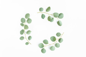 wreath frame made of branches eucalyptus isolated on white background. lay flat, top view