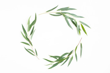 Round wreath frame made of branches eucalyptus isolated on white background. lay flat, top view