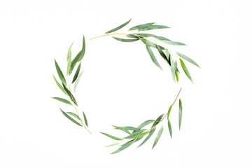 wreath frame made of branches eucalyptus isolated on white background. lay flat, top view
