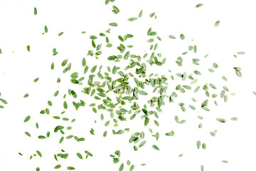 Texture, pattern made of branch on white background. Flat lay, top view.