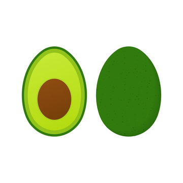 Fresh fruit avocado. Realistic vector avocados illustration. Whole and cut avocado. 