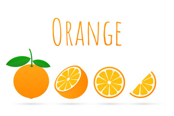 Orange with leaves whole and slices of oranges. Vector illustration of oranges.