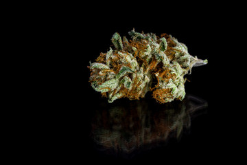 beautiful marijuana close up