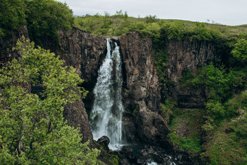 Waterfall in the stones. waterfall in a green forest. waterfall among the green trees.