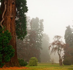 Palace of the Farm of San Ildefonso, Segovia. Spain. Gardens and palace, sunrise with fog