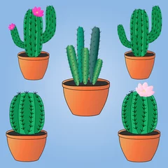 Fotobehang Cactus in pot Cactussen in potten.