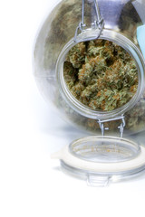 glass jar full of cannabis