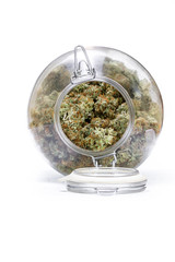 glass jar full of cannabis