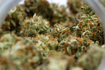 glass jar full of cannabis