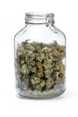 glass jar full of cannabis