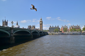 Londyn. Wielka Brytania - obrazy, fototapety, plakaty