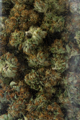 glass jar full of cannabis