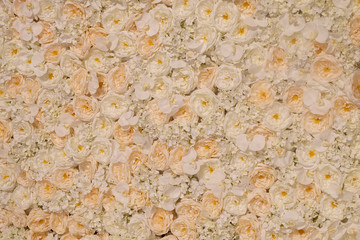 The wall is covered with buds and rose petals.