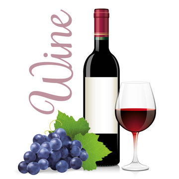 Bottle and glass of red wine with bunch grapes. Vector illustration