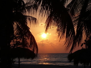 Sunset palm trees tiki huts beach