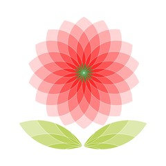 Pink Flower Symbol Isolated Elements