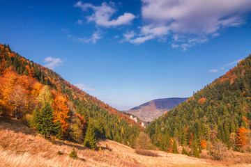 Fototapeta premium Autumn landscape in The Mala Fatra national park, Slovakia, Europe.