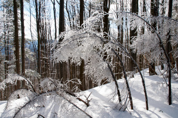 frosty day on the top of the mountain