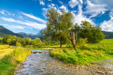 Sunny landscape with a creek flowing from mountains and blue sky with clouds in the background, national park Mala Fatra, Slovakia.