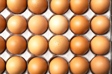 Close up group of fresh organic chicken eggs in paper tray from farm to market, Easter eggsÂ concept.