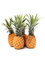 Pineapple on white background 