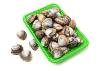 Stacked fresh raw clams on white background