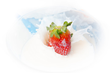 strawberry with cream