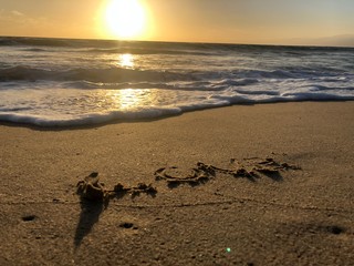 sunset on the beach