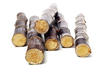 Sugar cane isolated on white background 